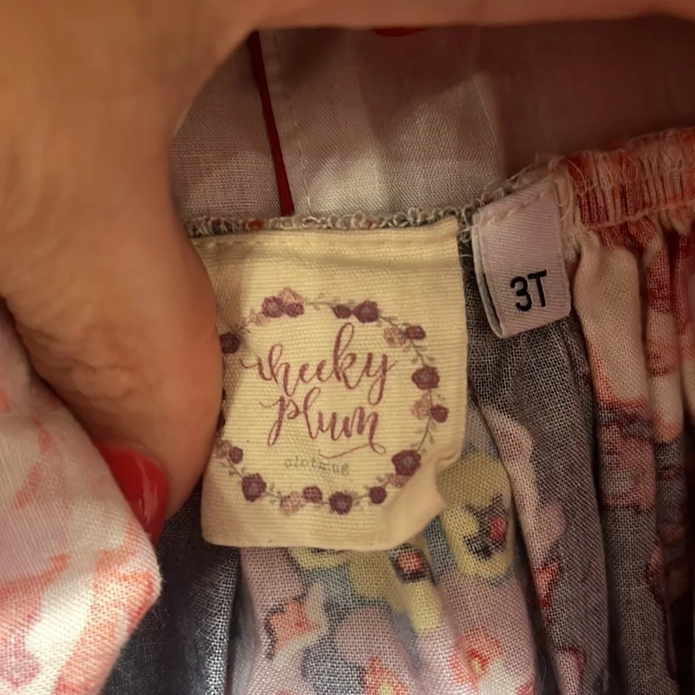 CHEEKY PLUM Boutique Girls Dress 3T ruffles butterfly floral whimsical